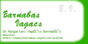 barnabas vagacs business card